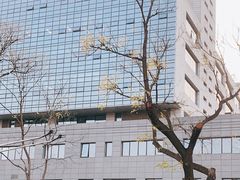 -北京协和医院(东单院区)