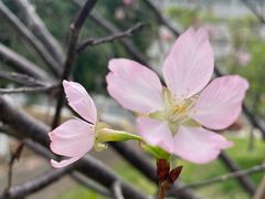 -广东中医药博物馆