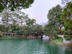 -广州市流溪河国家森林公园
