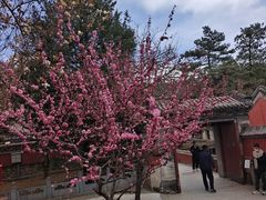 -潭柘寺景区