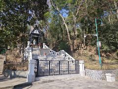 -上海佘山国家森林公园西佘山园