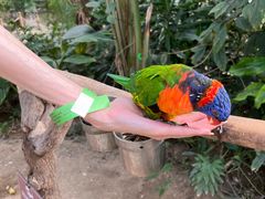 -南宫五洲植物乐园