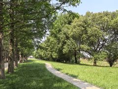 -同里国家湿地公园
