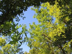 -回龙观体育文化公园