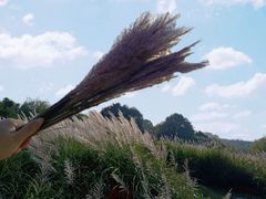-贵阳市花溪国家城市湿地公园