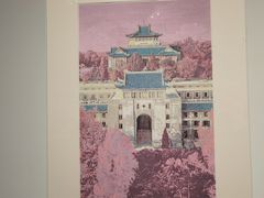 -武汉大学-樱园