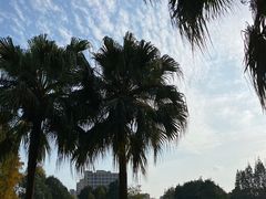 -上海植物园·停车场