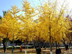 -东北大学(南湖校区)