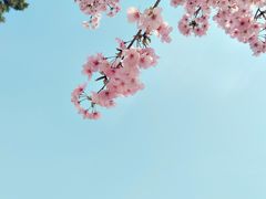 -吾悦广场(南京鼓楼店)