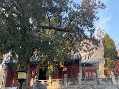 -华山风景区-华阳宫