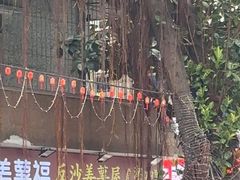 -普宁反沙番薯芋头