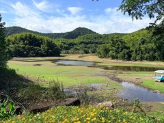 -宁波九龙湖开元度假村