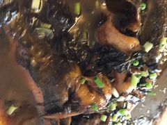 -南汇新场正宗水蜜桃采摘