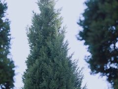 -贡湖湾湿地公园