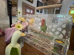 -绿房子方寸咖啡(星海名城店)