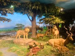 -国家自然博物馆