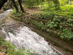 -东天目山风景区