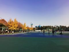 -西南交通大学九里校区-篮球场