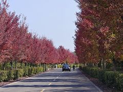 -南京枫彩漫城