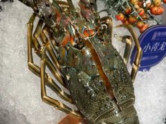 -海月轩海鲜豆捞(紫金塔店)