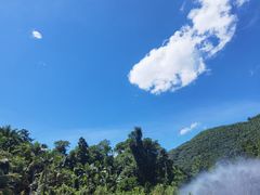 -西双版纳原始森林公园