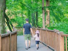 -素山寺森林公园