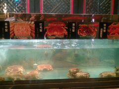 -李老爹香辣蟹(宣武门店)