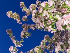 -京津佛罗伦萨小镇