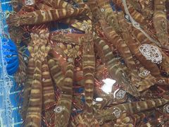 -鸿港海鲜批发市场