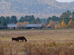 -北极村旅游风景区