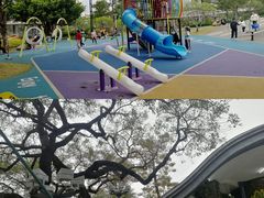 -文华公园(禅城区)