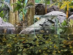 -上海海洋水族馆