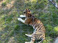 -石家庄市动物园