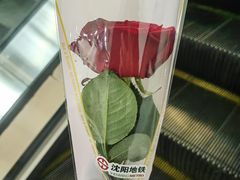 -东中街(地铁站)