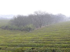 -敬亭山风景名胜区