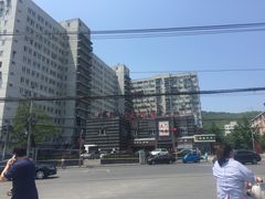 -大鸭梨烤鸭店(金顶街店)