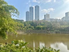 -龙头寺公园