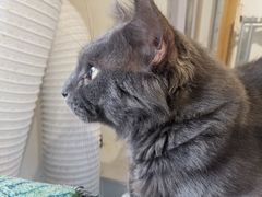 -平行世界·猫咖(首经贸店)