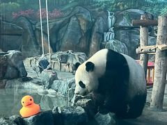 -武汉动物园