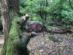 -玉渡山自然风景区