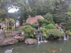 -江心屿景区