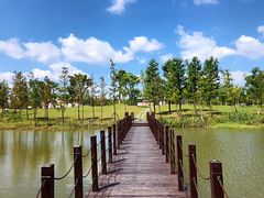 -上海长兴岛郊野公园