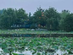 -云龙湖旅游景区