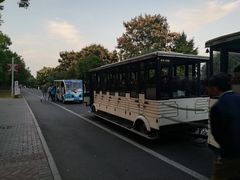 -橘子洲景区