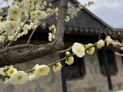 -石湖景区