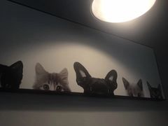 -吃饼人西餐(南开店)