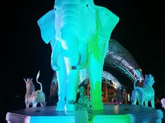 -清迈夜间动物园