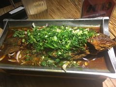 香辣炝锅鱼-树厨贵州菜(大十字店)