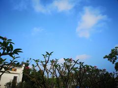 -宝安西湾红树林湿地公园