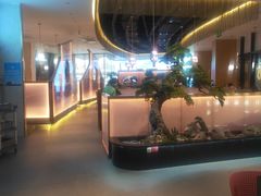 -马家斑.鲜鱼火锅(松湖万科店)